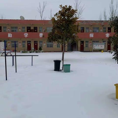 清扫积雪净校园，齐心协力促安全——通许县竖岗镇肖庙小学扫雪除冰在行动