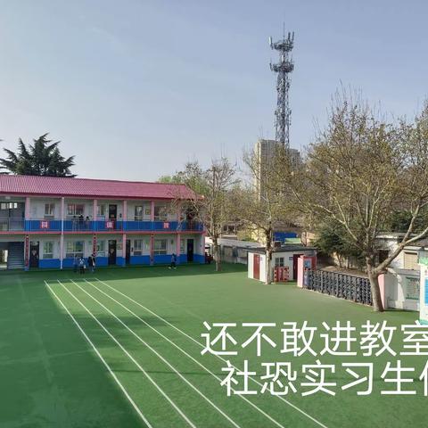 两寺渡小学实习总结---一次奇妙的旅行