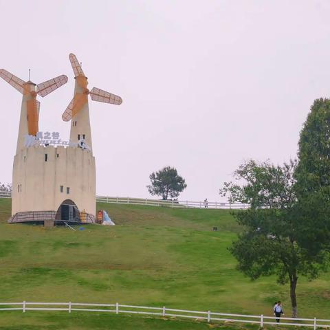 旅有所感，学有所获               ——记506向阳花中队风之谷研学