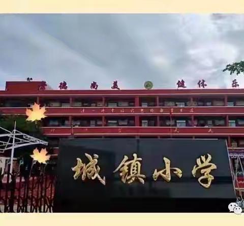 《不忘初心，共担使命——城镇小学集体缴纳党费的温暖时刻》