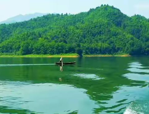 竹  海  情  深﻿ （海阔天空肖力丰 ）