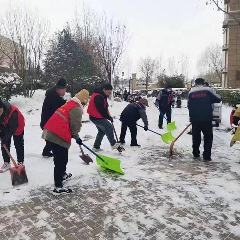 众美绿都社区党支部开展“冬日齐扫雪，热情暖人心”活动