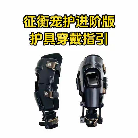 征衡宠护进阶版护具穿戴指引