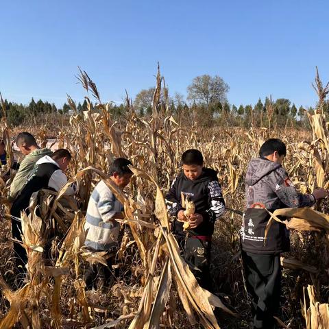 长治市潞城区特殊教育学校 ‍劳动技能课 《丰收的喜悦》 ‍