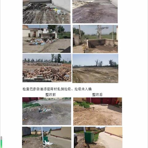 赛罕区农村环境卫生整治百日行动