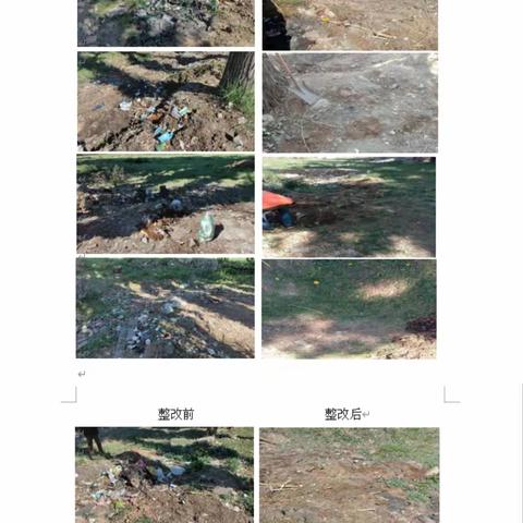 赛罕区农村环境卫生整治百日行动