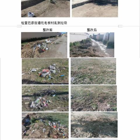 赛罕区农村环境卫生整治百日行动