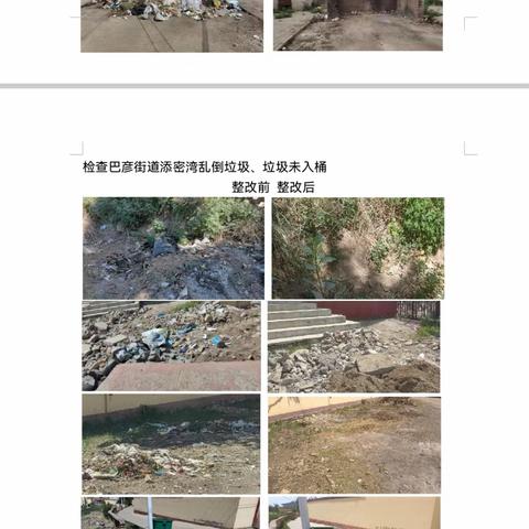 赛罕区农村环境卫生整治百日行动