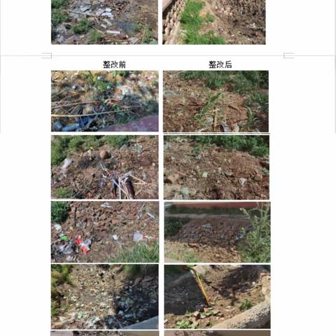赛罕区农村环境卫生整治百日行动