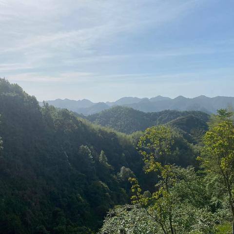 "上山下乡 青春风暴"专项活动推进会