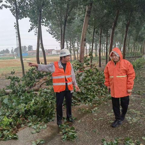 清理倒伏树木，保证公路安全