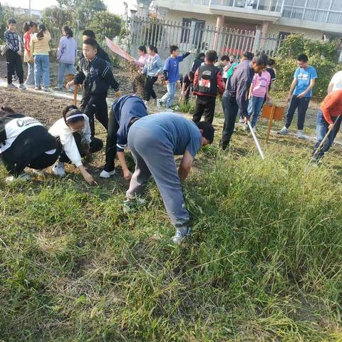 【开心农场】——饮泉小学601班行知劳动实践基地活动