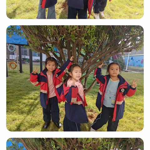 幼儿园快乐生活——三班一周生活