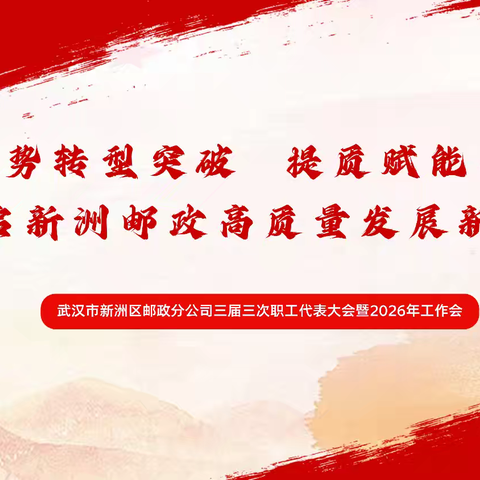 聚势转型突破 提质赋能争先 开启新洲邮政高质量发展新篇章