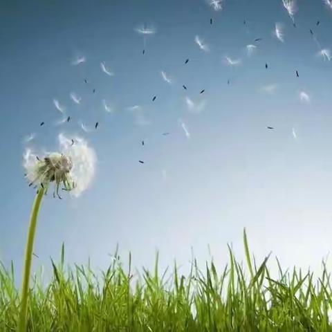 汇聚梦想  向优而行