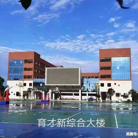 【文明上网  共建网络安全】  育才学校网络安全教育活动