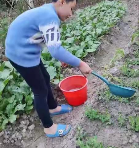 肇庆市高要区水南学校客家少年家庭作业，各显神通