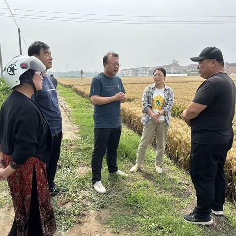 太行怀庆街道：多措并举提前统筹，三夏抢收保丰收