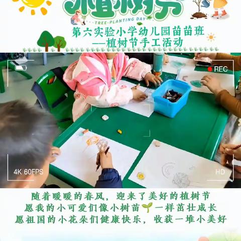 第六实验小学幼儿园苗苗班