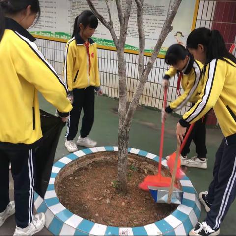 开展爱国卫生活动，营造洁净校园环境﻿——东厢小学“爱国卫生月”主题活动