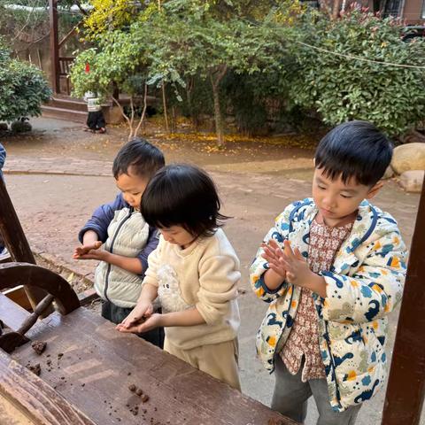 把玩耍还给孩子，让童年自由生长