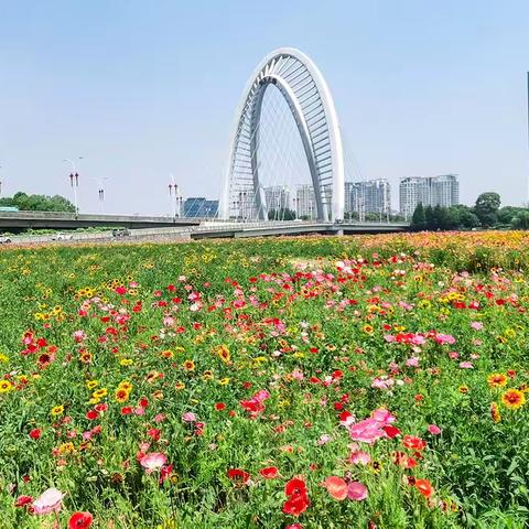 欢欣若狂在花海