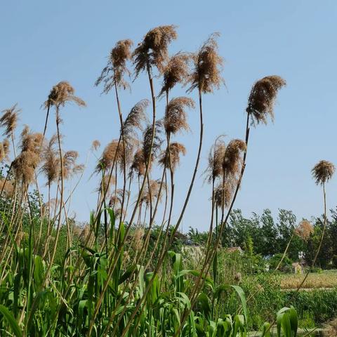 致我们的春夏ll董锋