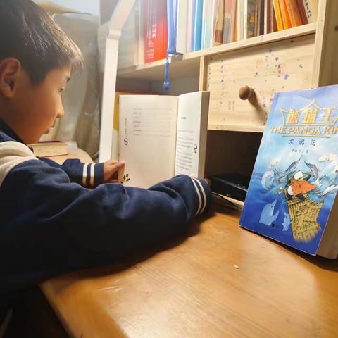 多才多艺善思的刘哲明——铁杆“熊猫粉”成长记（一）