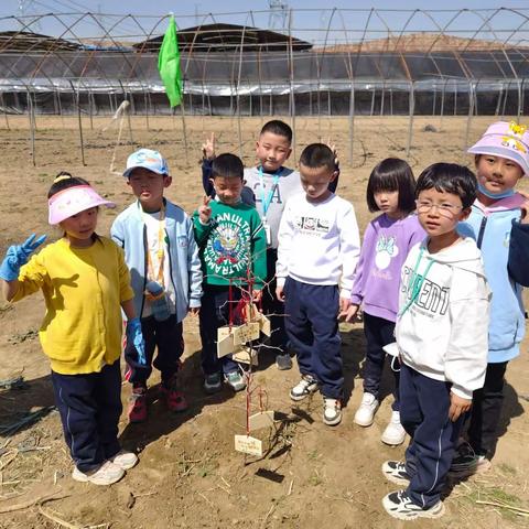 阳光小学一年级一班春游活动