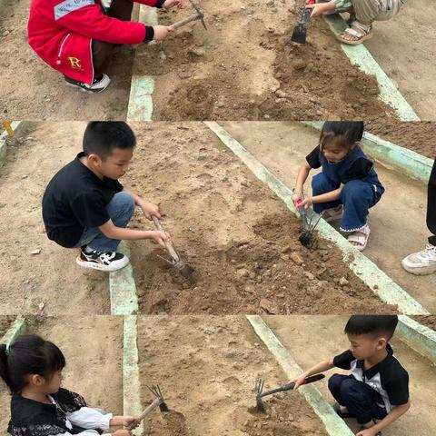 从种子到幸福的成长课——大二班种菜记