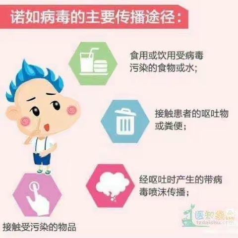 【预防诺如病毒，呵护孩子健康】——南蓝幼儿园预防知识宣传