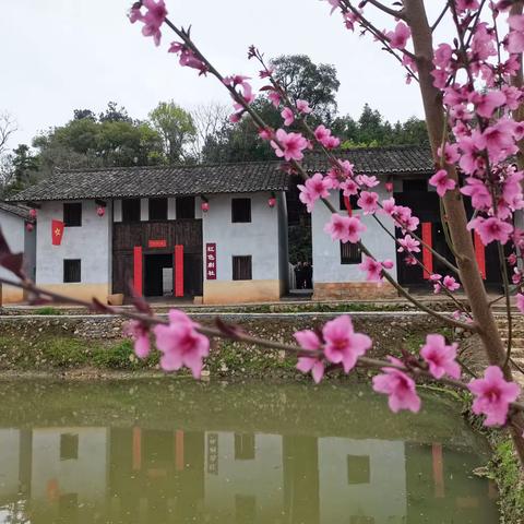 ｜情暖童心 相伴童行