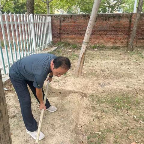 “手牵手，共享田园乐趣”滨州市沾化区第一实验小学家校联合打造整齐种植园