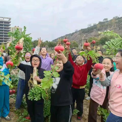 “走进菜园 拥抱自然”——实践活动课