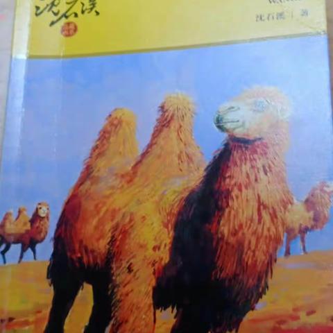 多读书，乐读书，会读书，读好书。