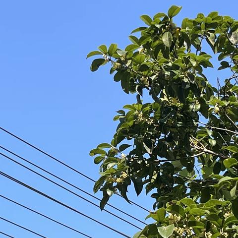 沙下村童伴之家“可爱的秋天”主题活动