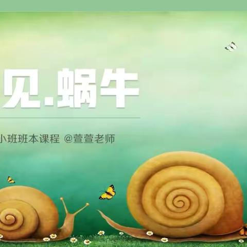 小二班班本课程《遇见蜗牛🐌》