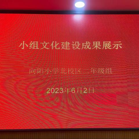 关爱学生幸福成长—-向阳北校区二年级小组建设活动展示