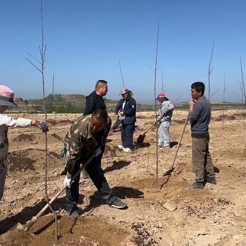 老果园改造-麻塔篇