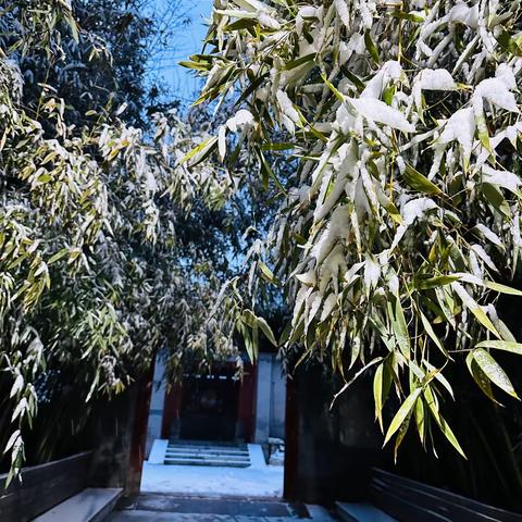 初雪❄️与你相遇