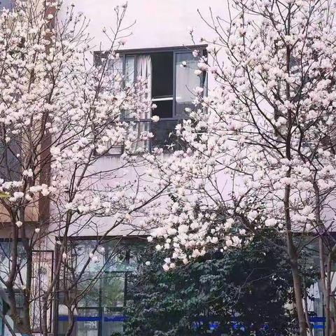 小学毕业纪念相册