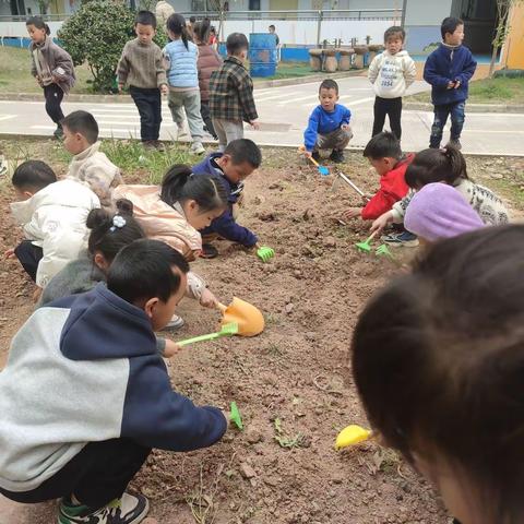 雨生百谷 润物无声—古市幼儿园“谷雨”节日教育活动