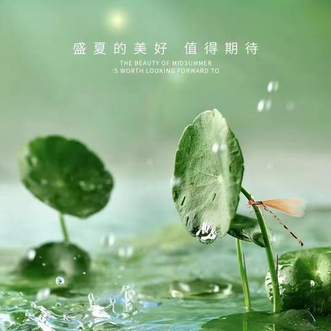 二十四节气——大暑