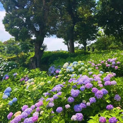 善喜班《孝经》第三课结行