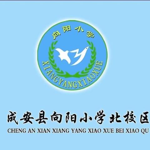 倾情陪伴，静待花开——与您共享成长时光