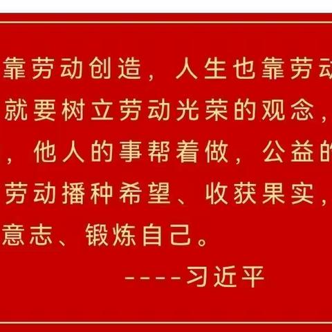 缤纷寒假 以劳育美 ——第一小学三年级二班开展寒假劳动实践活动