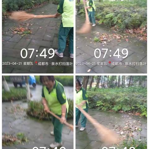 徐堰河二标段河道、绿道以及绿化日常管护情况