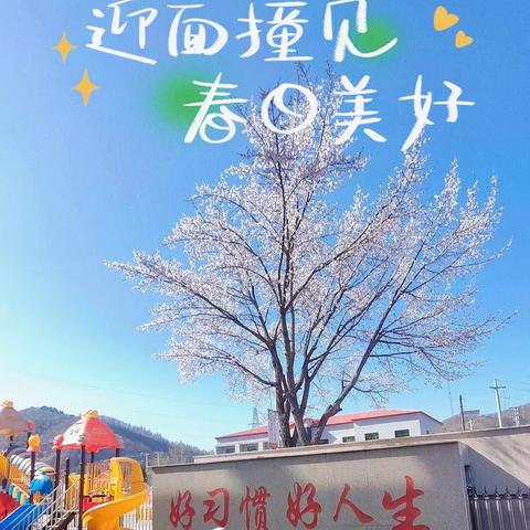 🌈幸福报到🍀拼凑爱的美妙 💖💕小二班的小可爱们又来报道啦！🎉