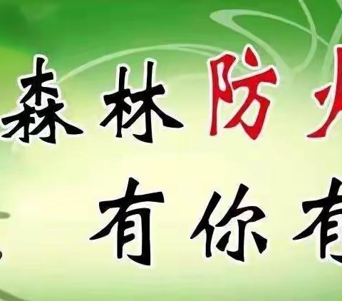 林业局党委委员、宣传部部长王海燕，绿林责任区防火包片领导驻阿资源监督办副主任张晓峰深入绿林林场检查指导森林防火工作。