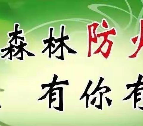 林业局党委委员、宣传部部长王海燕深入防火包片责任区检查指导“平安清明”战役期间森林防火工作